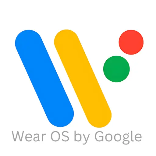 Wear OS by Google Smartwatch